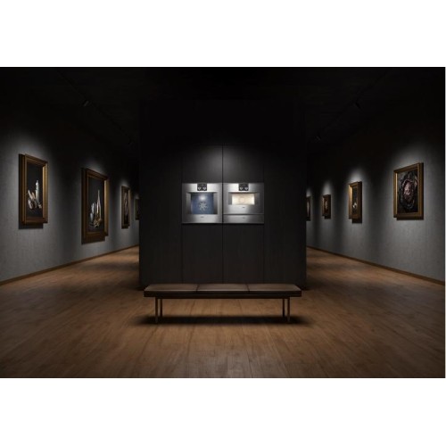 Вакуумный упаковщик Gaggenau DV461110 в Краснодаре