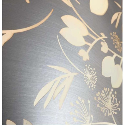 Вытяжка Falmec Mirabilia 67 Moon Light Vetro (800) ECP в Краснодаре