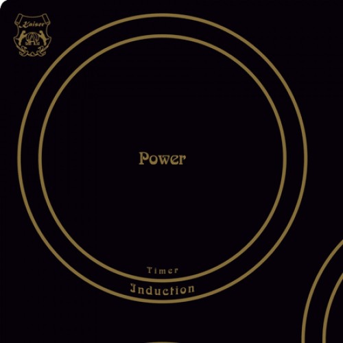 Индукционная варочная панель Kaiser KCT 4795 FI AD в Краснодаре