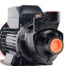 Насос вихревой поверхностный Patriot Garden QB-60