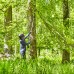 Высоторез GREENWORKS GD60PS без акк и з/у   1400407