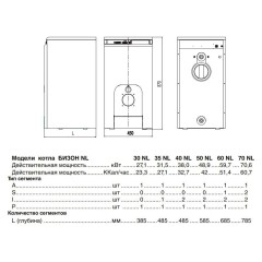 Комбинированный котел Protherm Бизон 30 NL (0010003940)