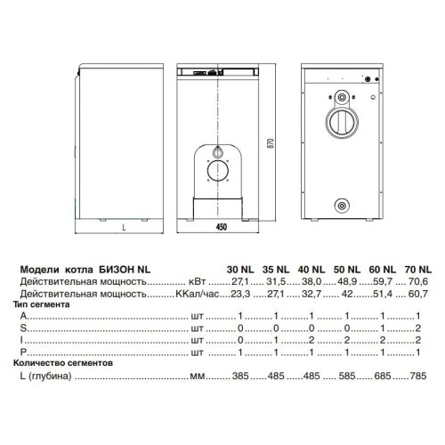 Комбинированный котел Protherm Бизон 30 NL (0010003940) 