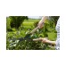 Ножницы для живой изгороди Gardena NatureCut механические  12300-20.000.00