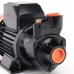 Насос вихревой поверхностный Patriot Garden QB-70