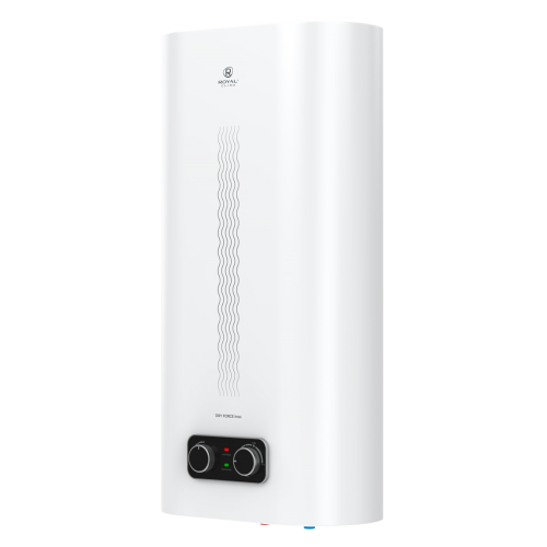 Royal Clima DRY FORCE Inox 100 RWH-DF100-FS 